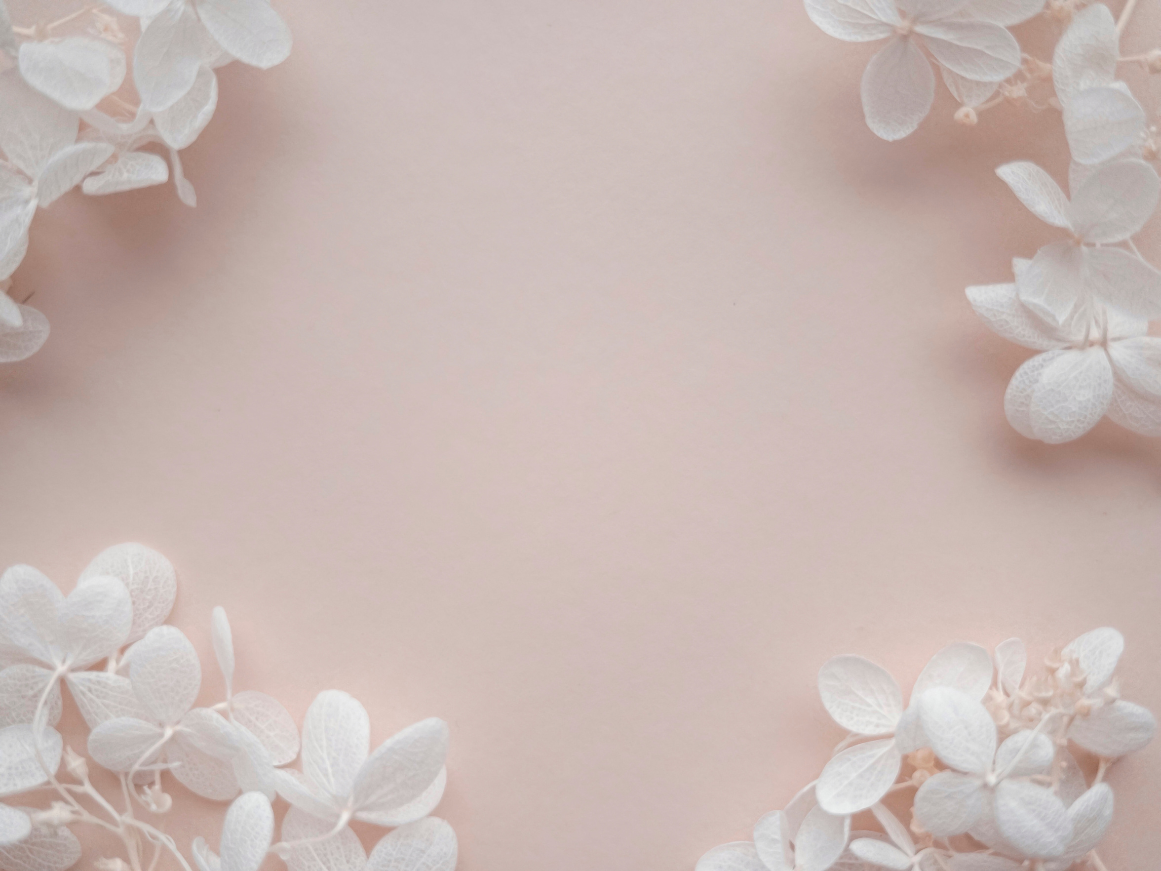 Flowers Composition from Beige Hydrangea Flowers